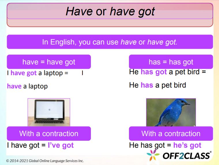 Have and Have Got: An ESL Lesson Plan