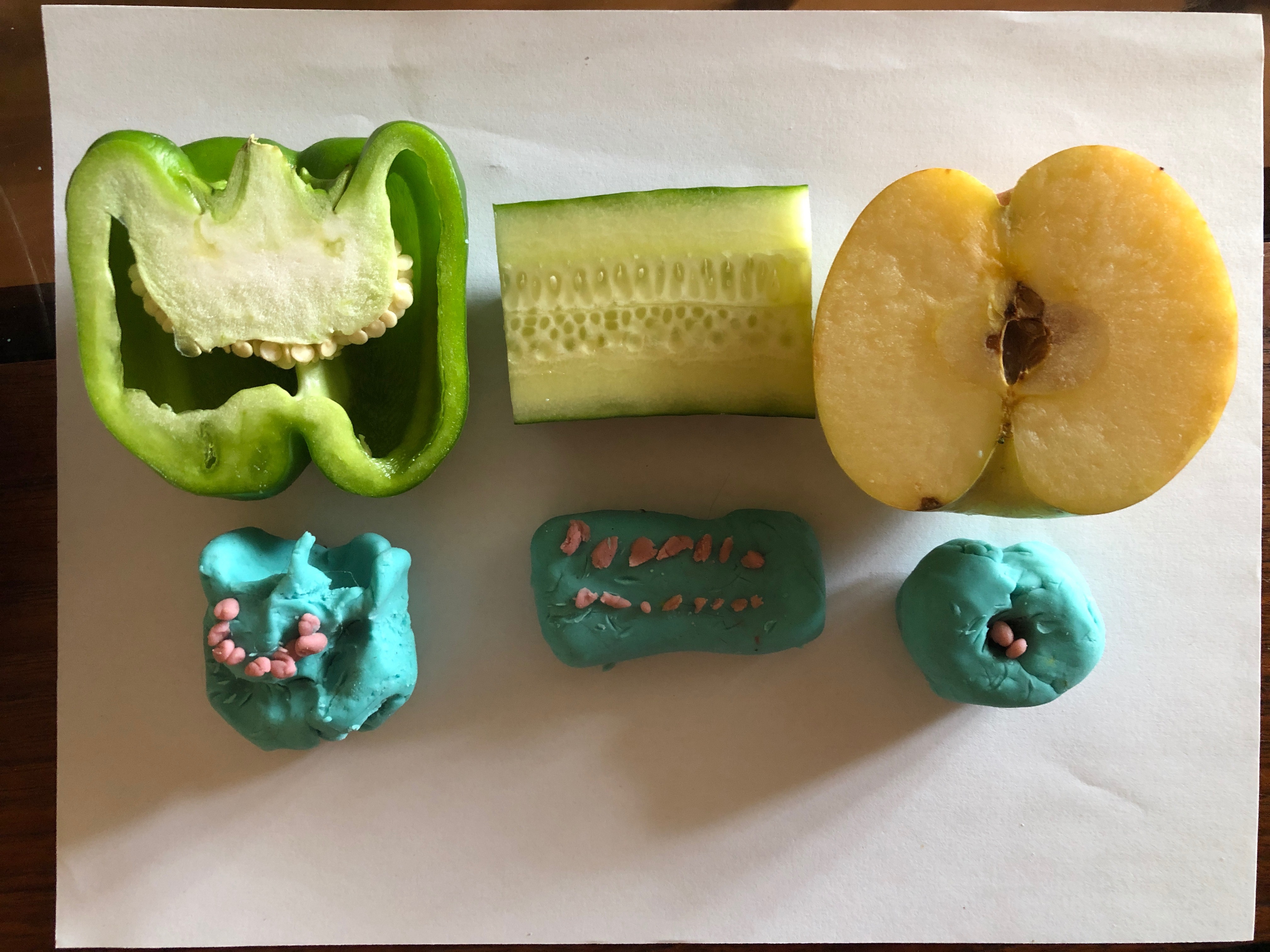Comparing Seeds