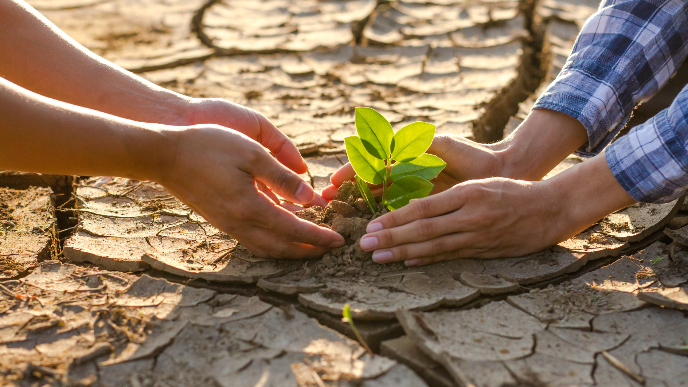 CER Writing & Impact Analysis on NJ Climate Change
