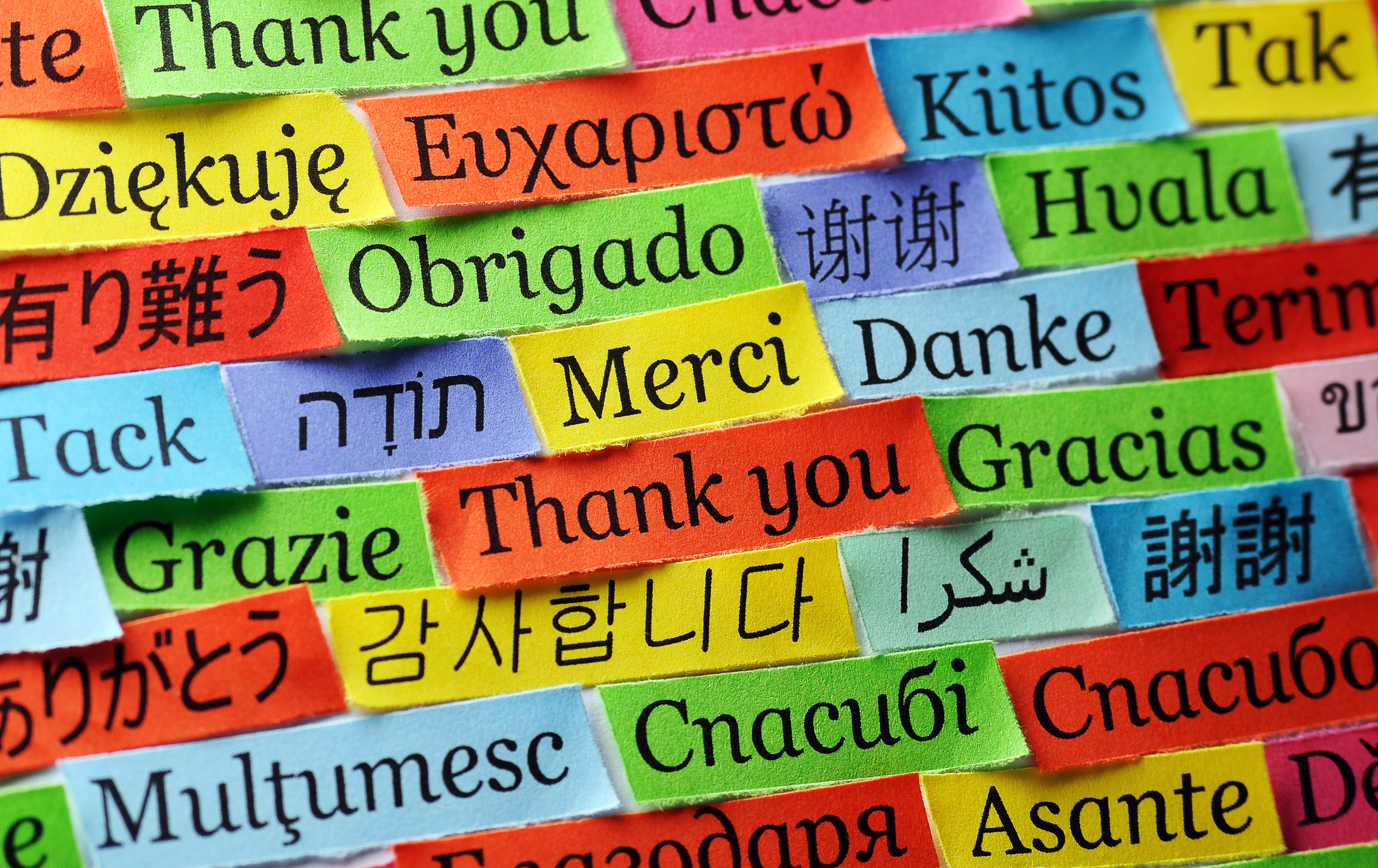 The Dream: Learning to be Bilingual