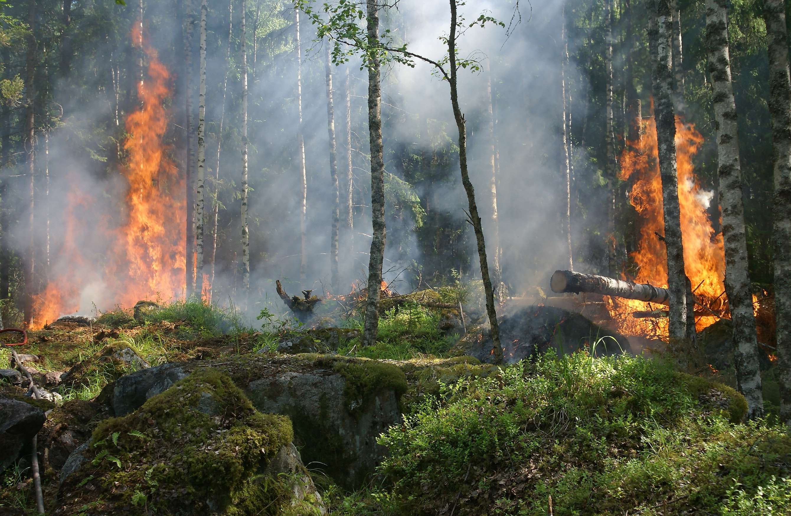 Teaching Climate Change Through Wildfires