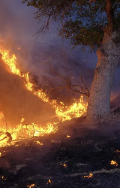 wildfire