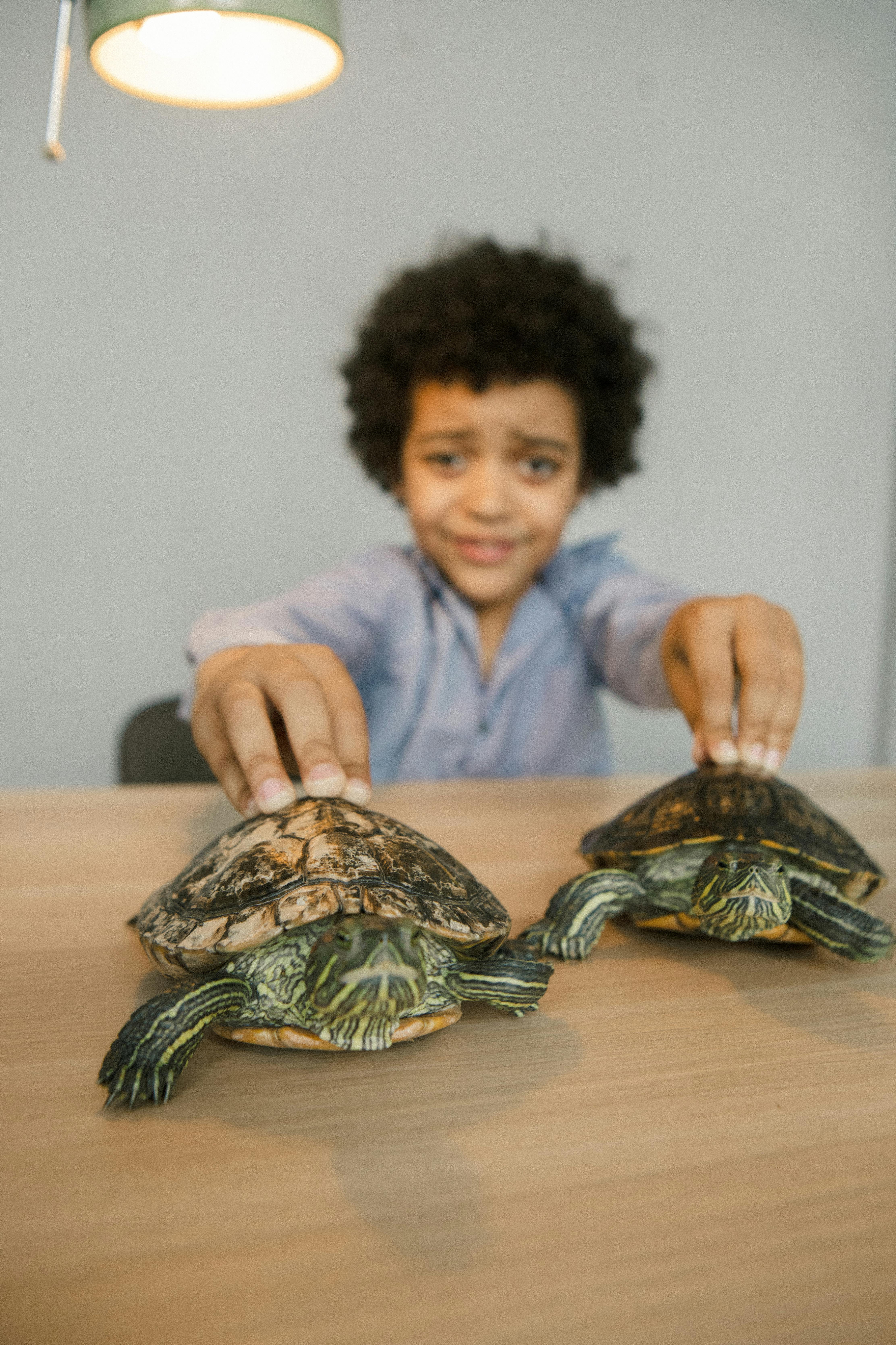 A Turtle in the Park with Mr. O - Brain Break