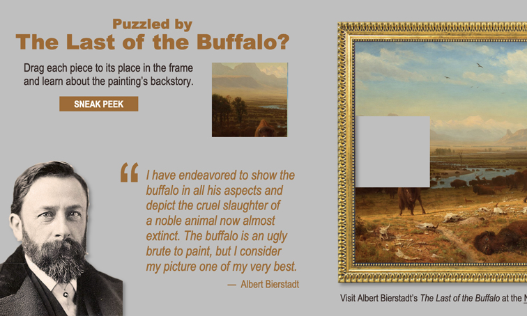 Puzzled by The Last of the Buffalo?