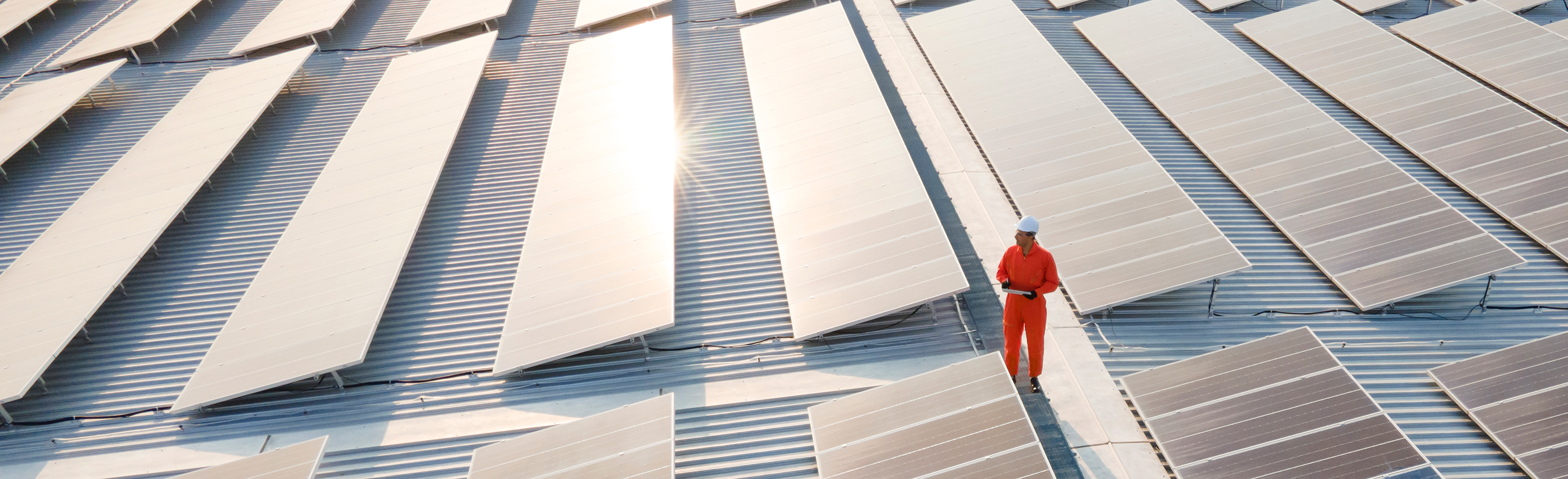 How to Mitigate Climate Change