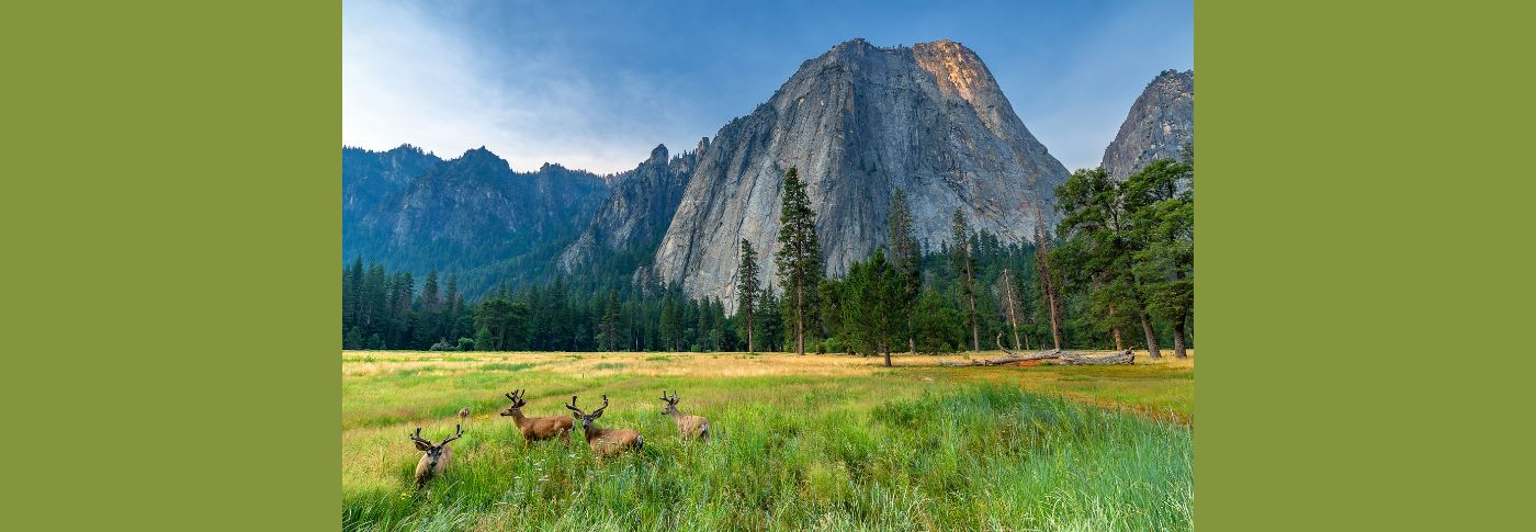 What Is the Future of America's National Parks?