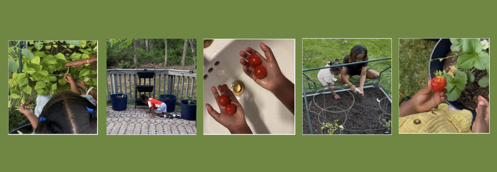 Grow It, Share It, Eat It: Why Your Family Should Start a Garden This Year