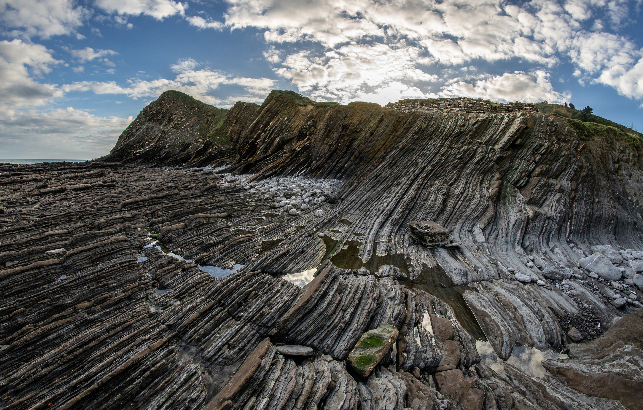 Cenozoic Plate Tectonics
