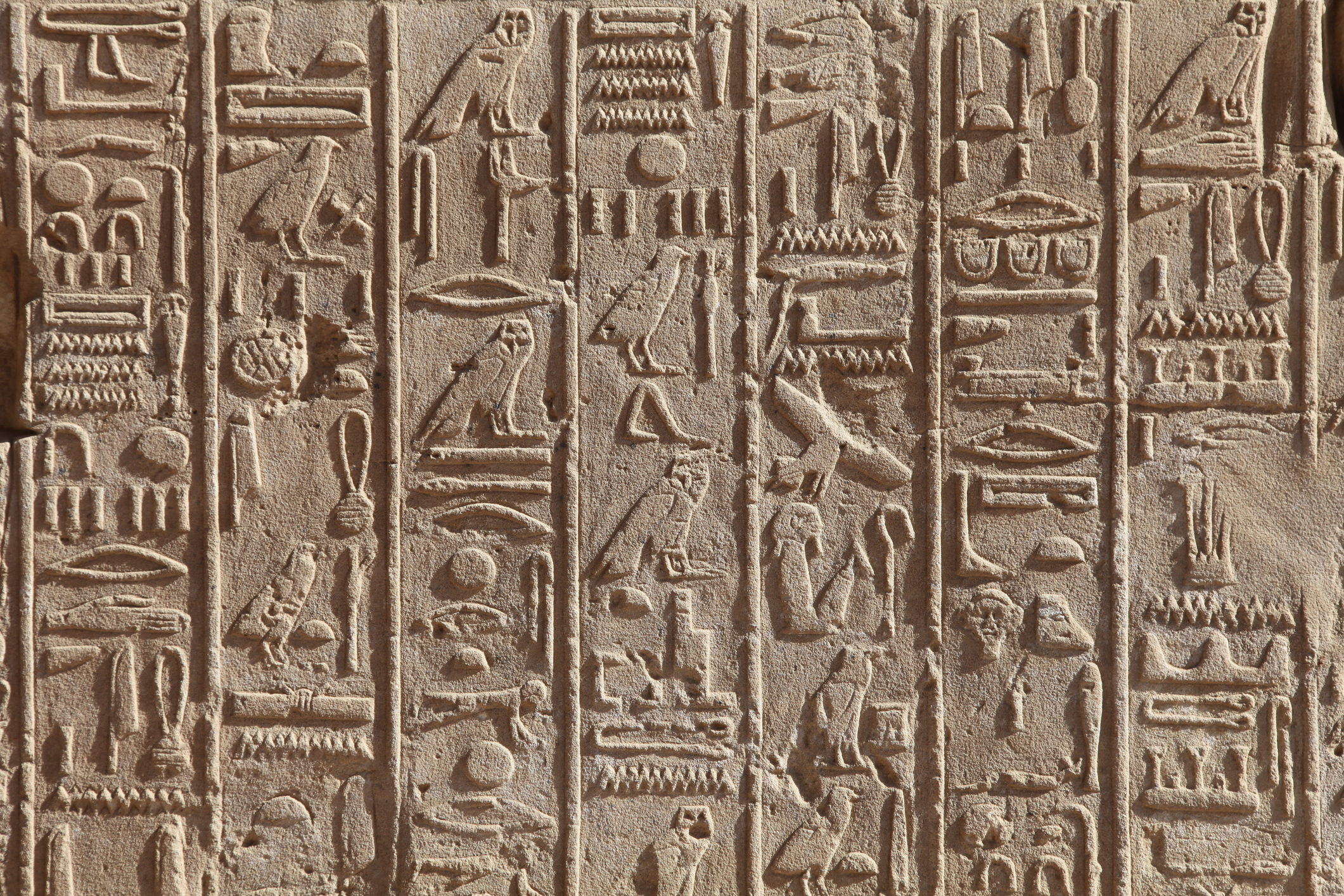 Study Guide for early African civilizations