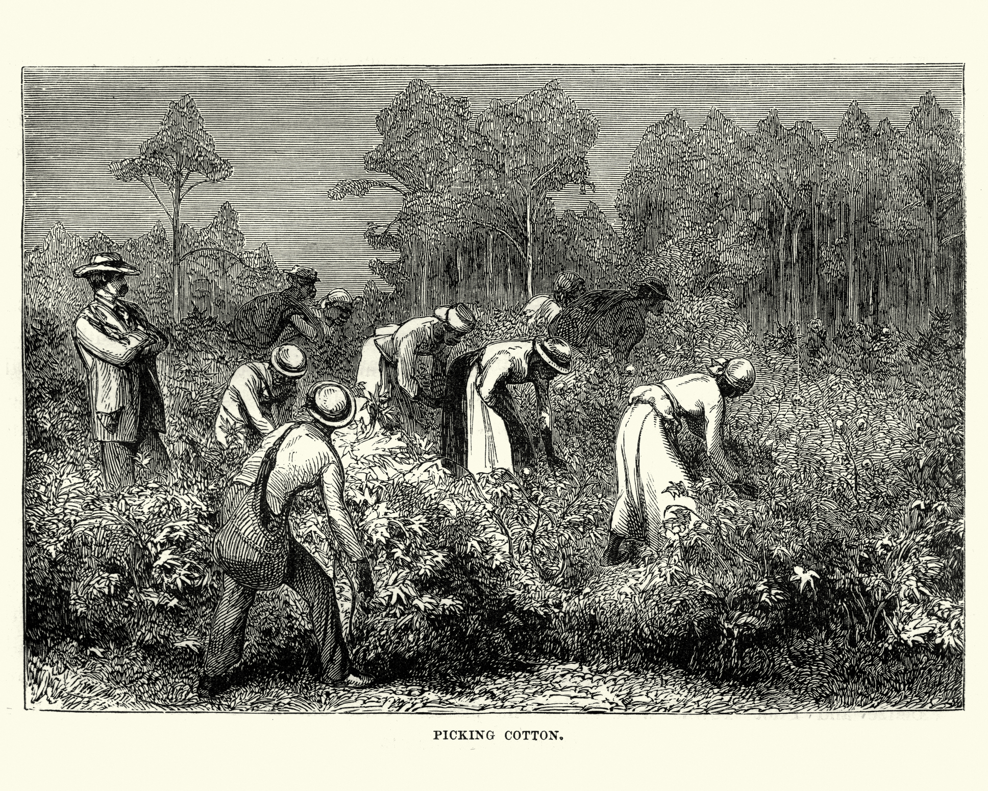 African Slaves Brought Spirit Symbols to America