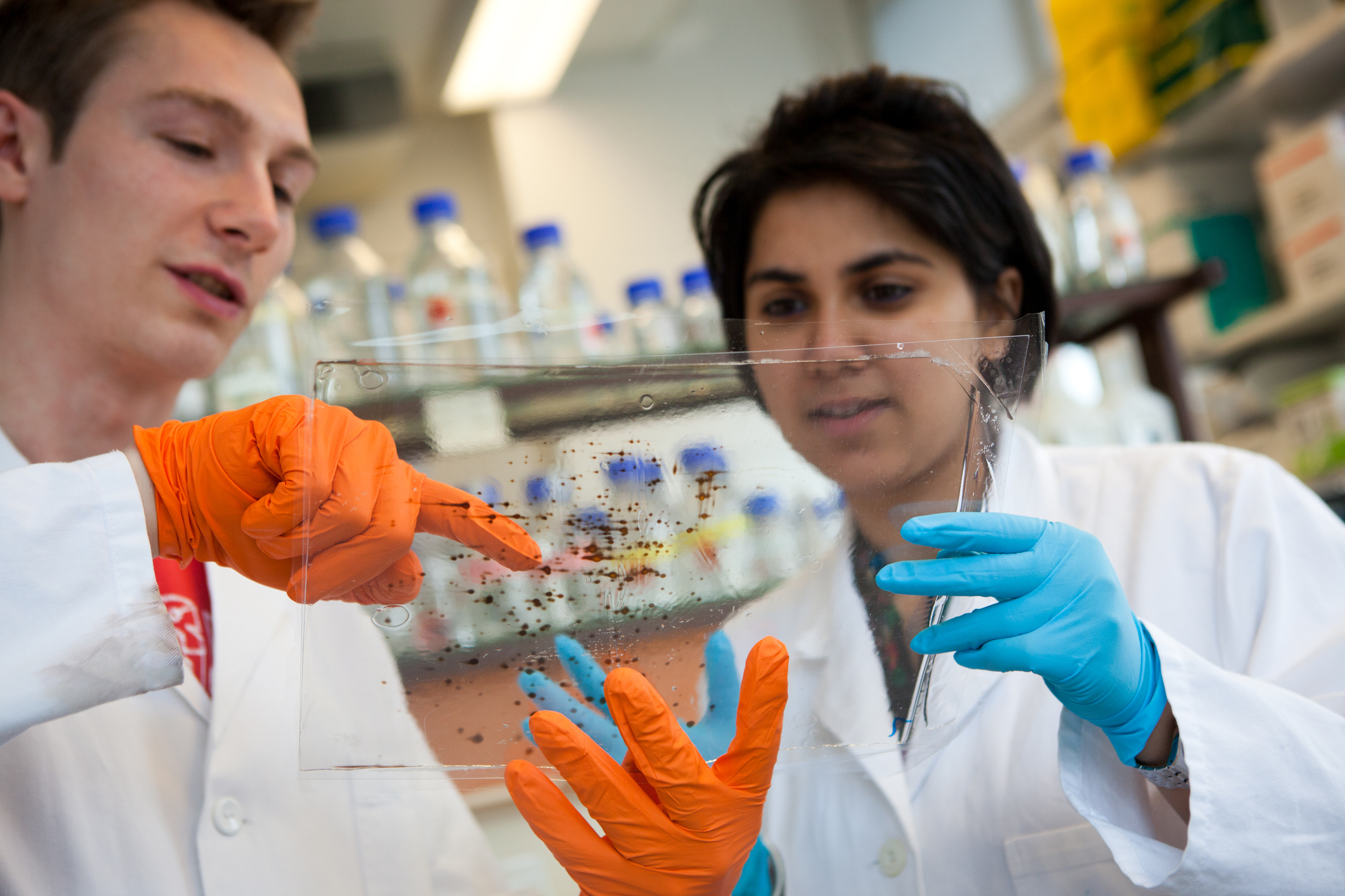 How was DNA discovered?