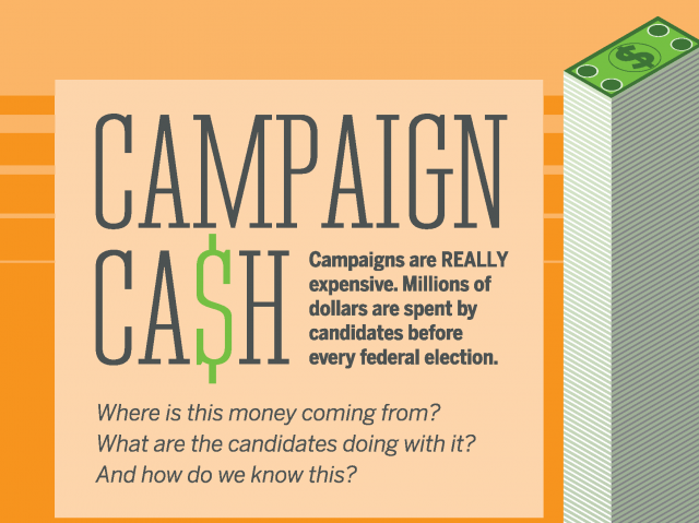 Infographics For the Election