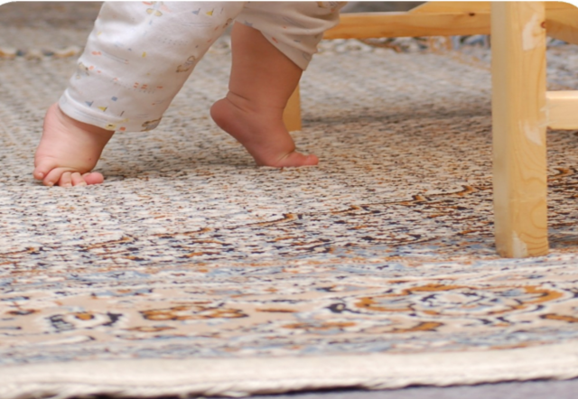 FURNITURE AND CARPETS FACT SHEET