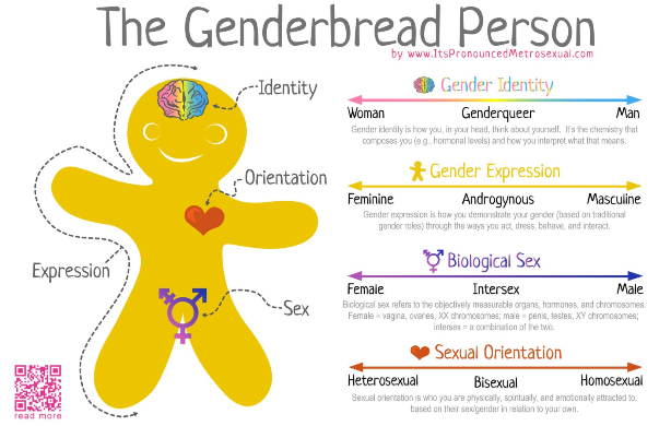Gender Binarism 101