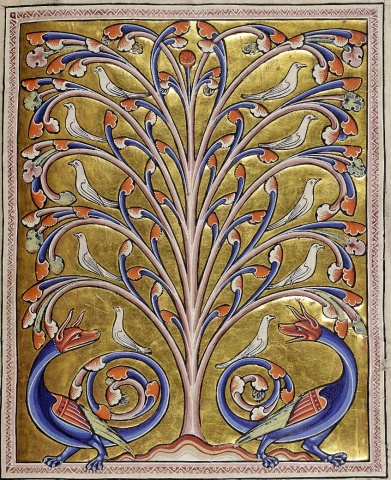 The Dreaming Tree- SEL Lesson on Connection to Nature, Healing and Community Responsibility