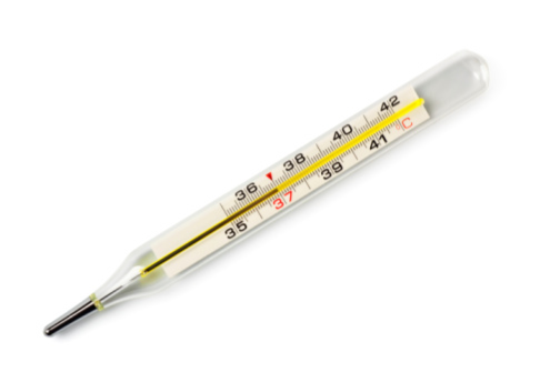 MERCURY FACT SHEET