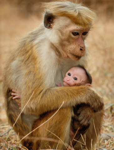 A Thank You from Disneynature