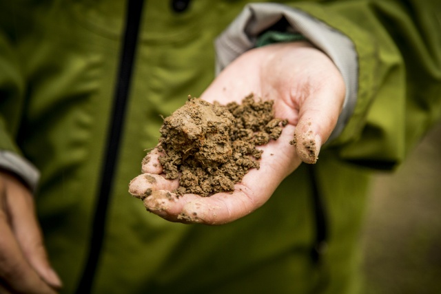 How Dirt Works