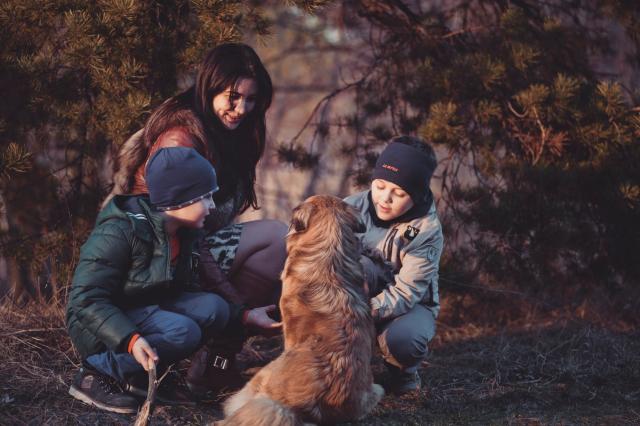 Teach Your Students The Importance of Dogs