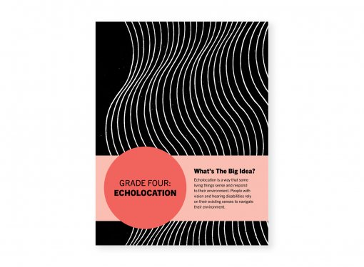 Echolocation