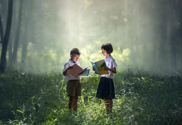 Social and Emotional Learning Through Diverse Literature