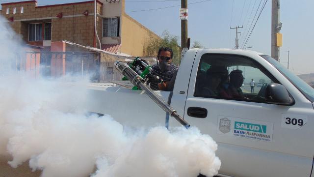 PESTICIDES FACT SHEET