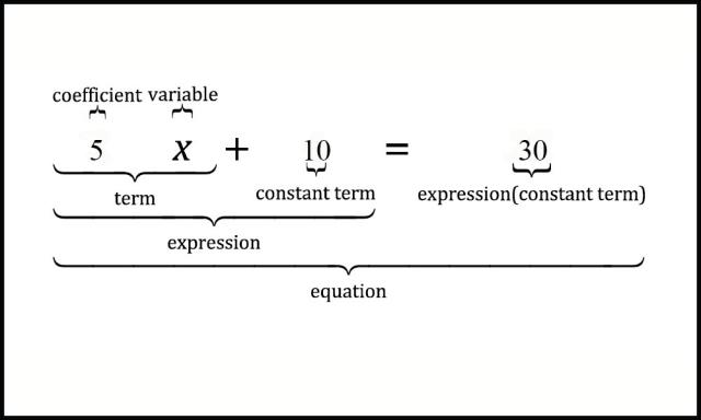 Playlist: Parts of an Expression (HSA.SSE.A.1.A )