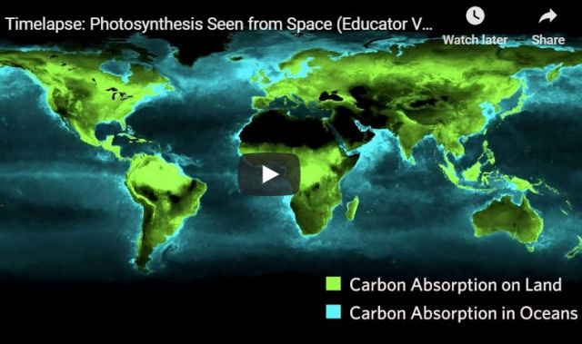 Timelapse: Photosynthesis Seen From Space