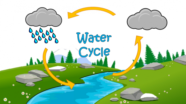 The Water Cycle