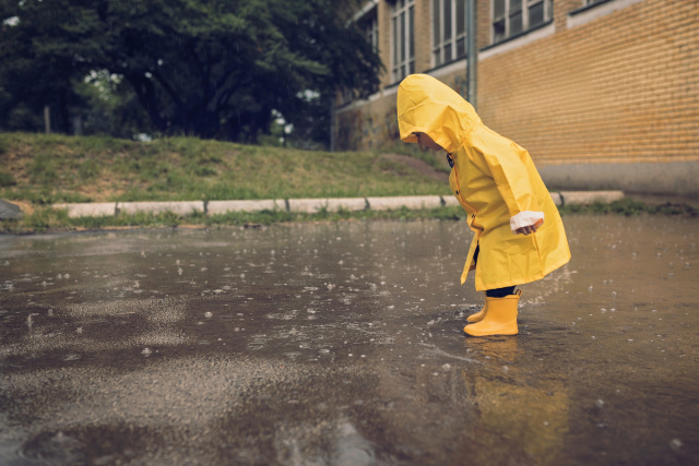 Weather Worksheets