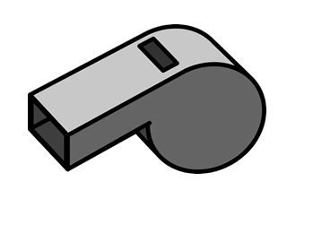 Blow the Whistle on Name-Calling