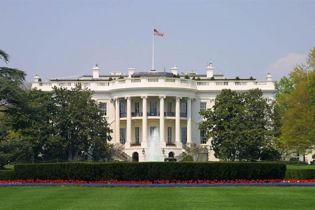 Article II: The Executive Branch